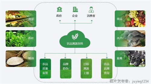 國外農業物聯網應用 精準賦能，重塑農業生產與服務模式